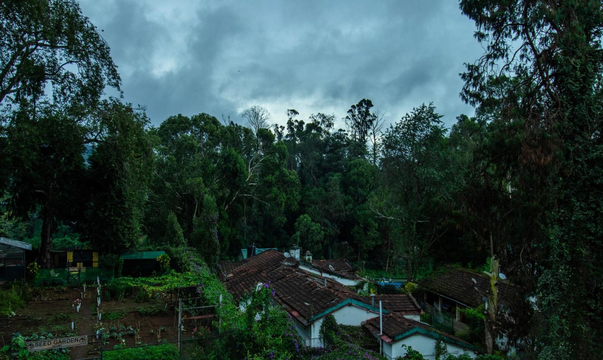 Treebo Kodai Kings Park, 650 M From Kodai Lake Kodaikanal Zewnętrze zdjęcie